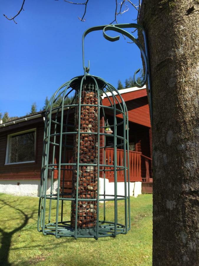 Stravaigin Lodge Dunoon Extérieur photo